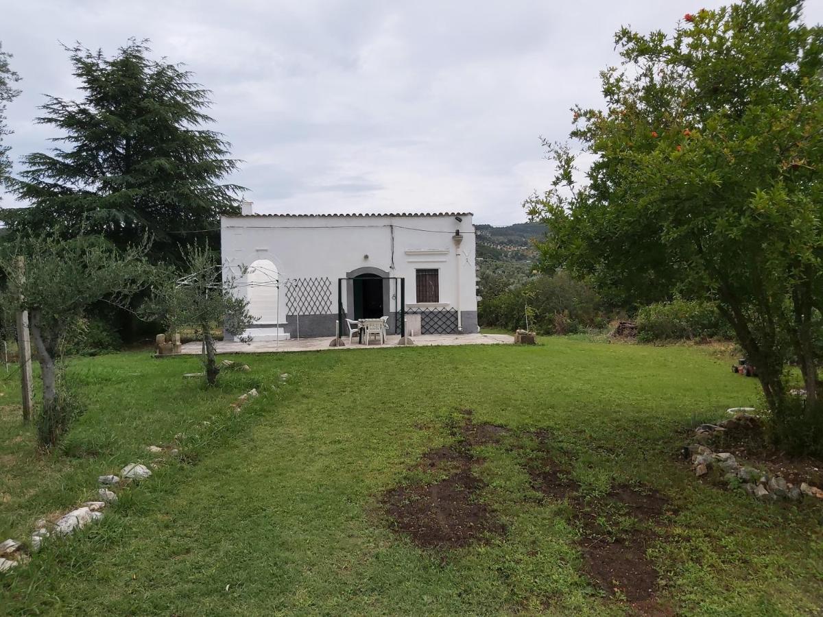 Casa Colonica Di Campagna Come Era Una Volta Peschici Buitenkant foto