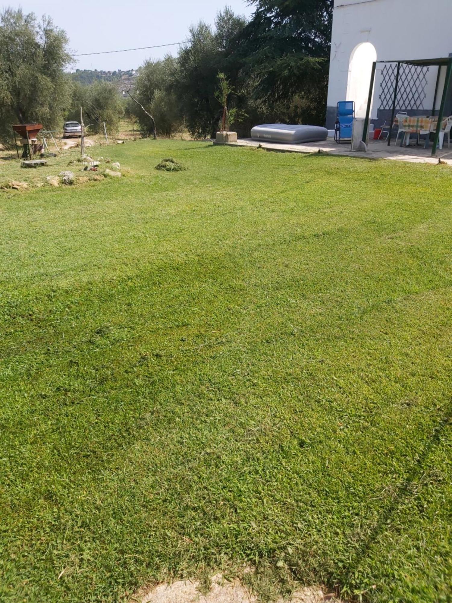 Casa Colonica Di Campagna Come Era Una Volta Peschici Kamer foto